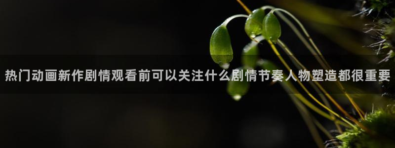 动漫新番榜:热门动画新作剧情观看前可以关注什么剧情节奏人物塑造都很重要