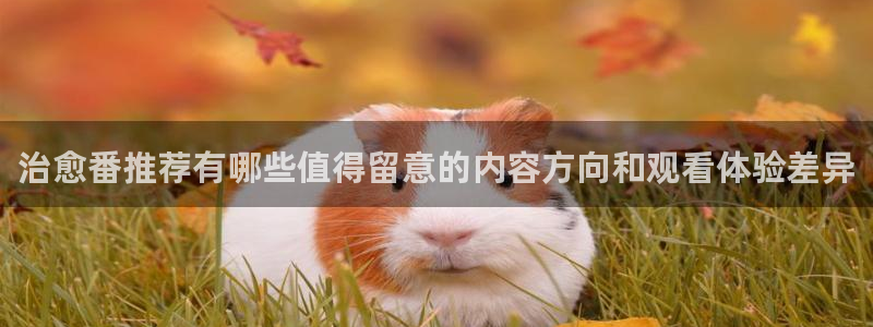 动漫热门话题：治愈番推荐有哪些值得留意的内容方向和观看体验差异