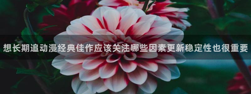 怀旧动漫:想长期追动漫经典佳作应该关注哪些因素更新稳定性也很重要