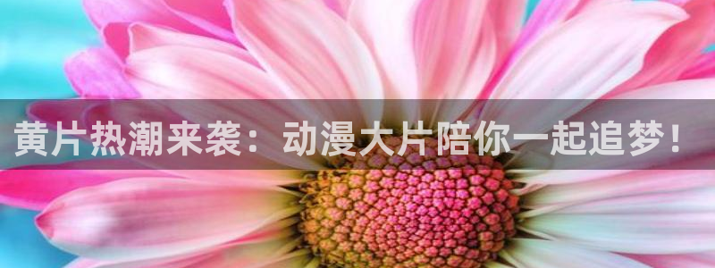 动漫热门推荐:黄片热潮来袭:动漫大片陪你一起追梦!