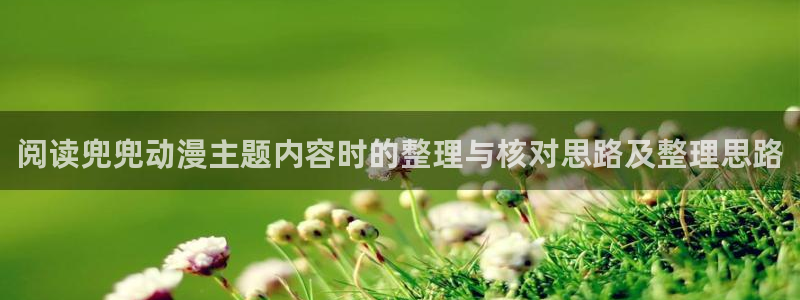 搞笑动漫：阅读兜兜动漫主题内容时的整理与核对思路及整理思路