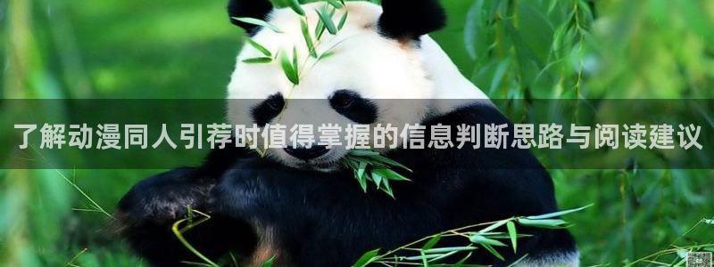 日本动漫网站:了解动漫同人引荐时值得掌握的信息判断思路与阅读建议