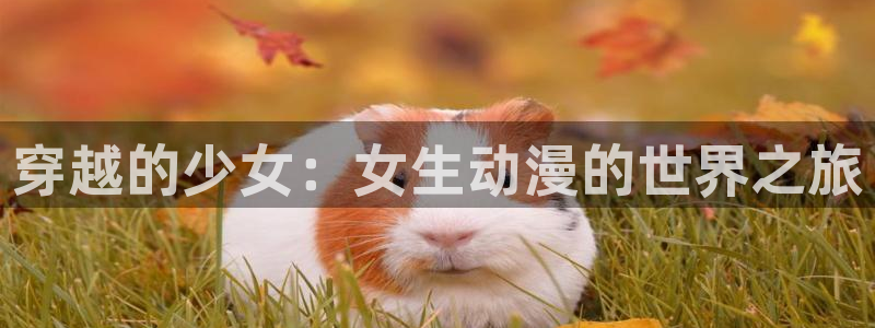 新番动画:穿越的少女:女生动漫的世界之旅