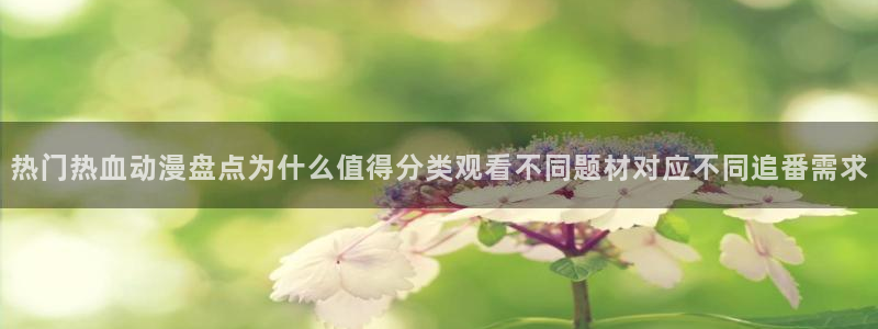 热门连载动漫：热门热血动漫盘点为什么值得分类观看不同题材对应不同追番需求