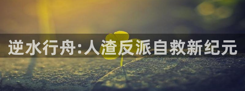 动画作品大全