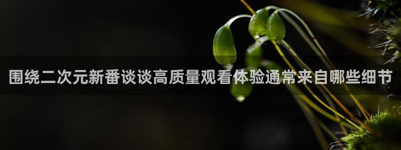 最新动漫排行